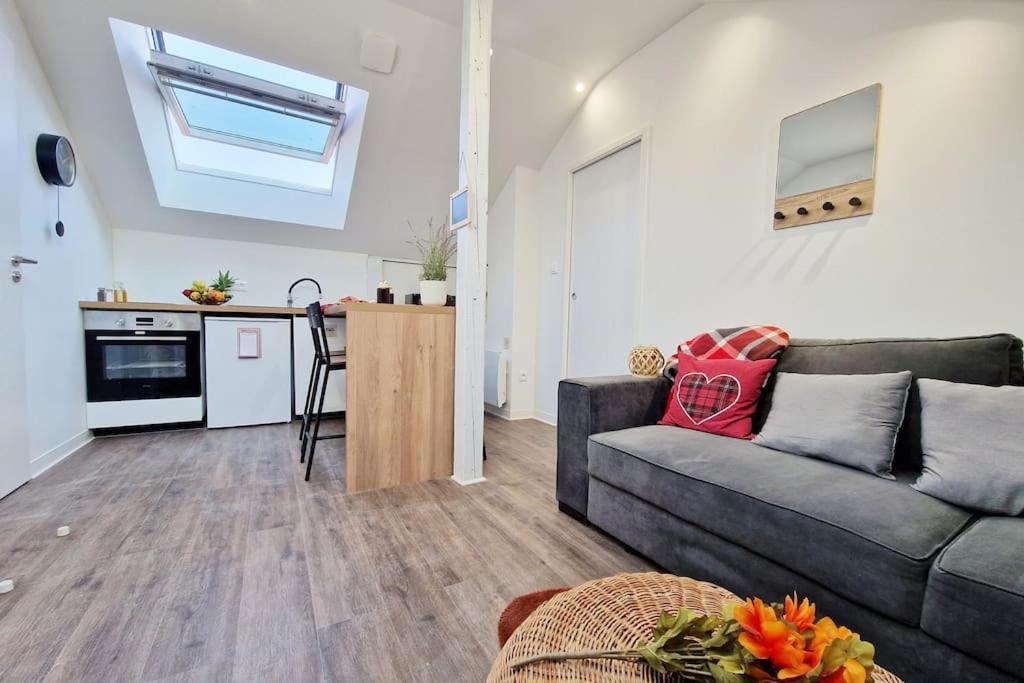 Le Ciel Etoile, Apartment Belfort